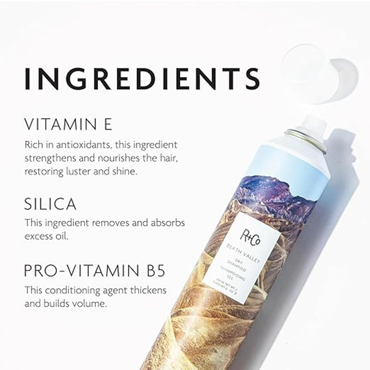 White Smoke R+Co DEATH VALLEY Dry Shampoo