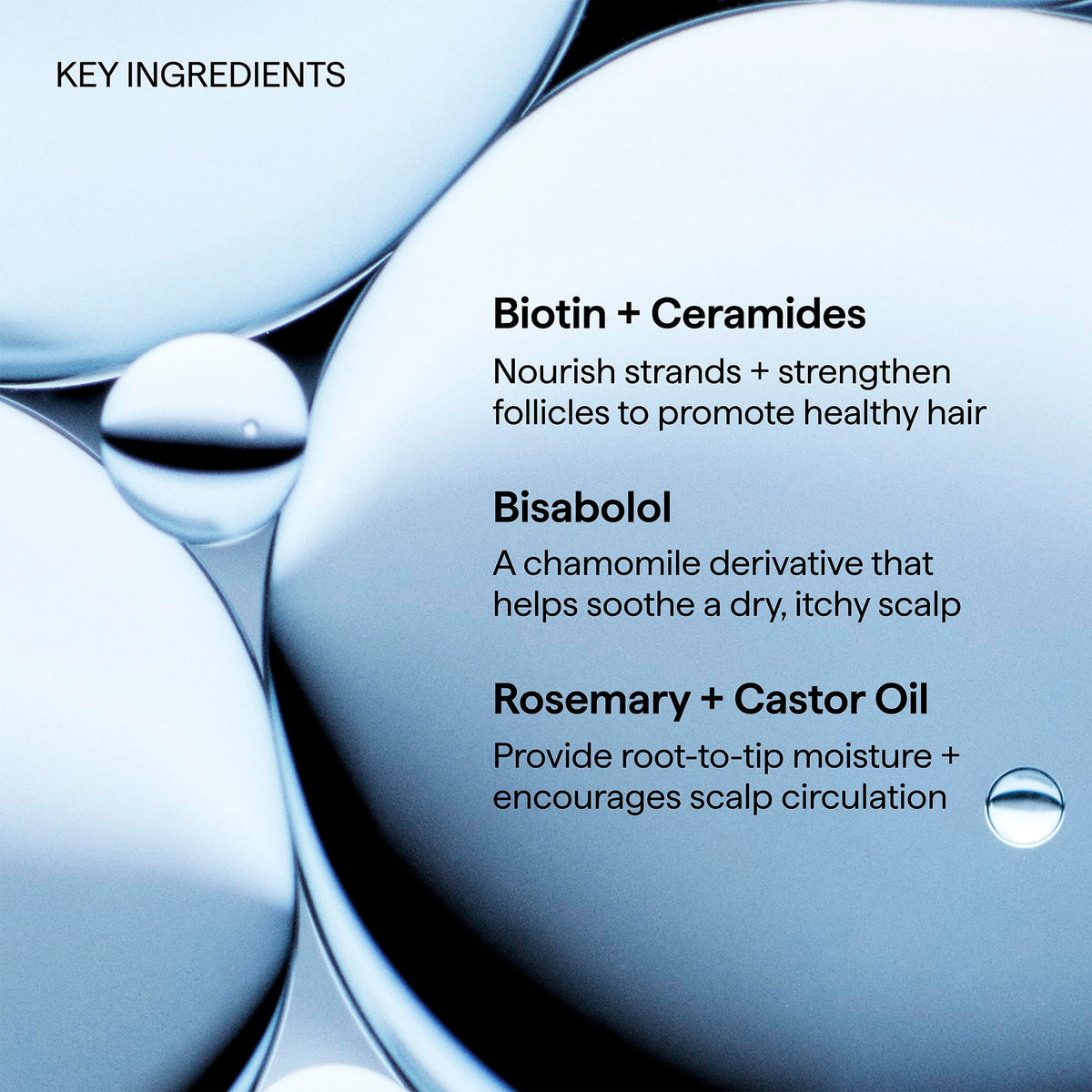 Alice Blue Briogeo Scalp Revival Rosemary Pre-Wash Oil | Moisturizing Scalp Treatmen