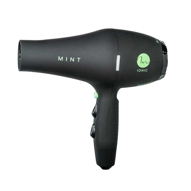 White Smoke Mint Black Bird Ionic Dryer w/diffuser