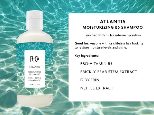White Smoke R+Co Atlantis Moisturizing B5 Shampoo and Conditioner Set, 33.8 oz (2 Pack)