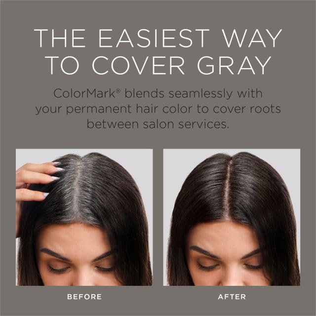 Dim Gray ColorMark Pro Rich Black Liquid Gray Root Touch Up Wand Applicator, Real Hair Color