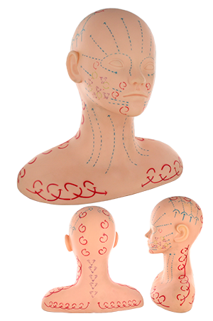 Practice Mannequin-Massage# M-2051(White Face) (#3218)
