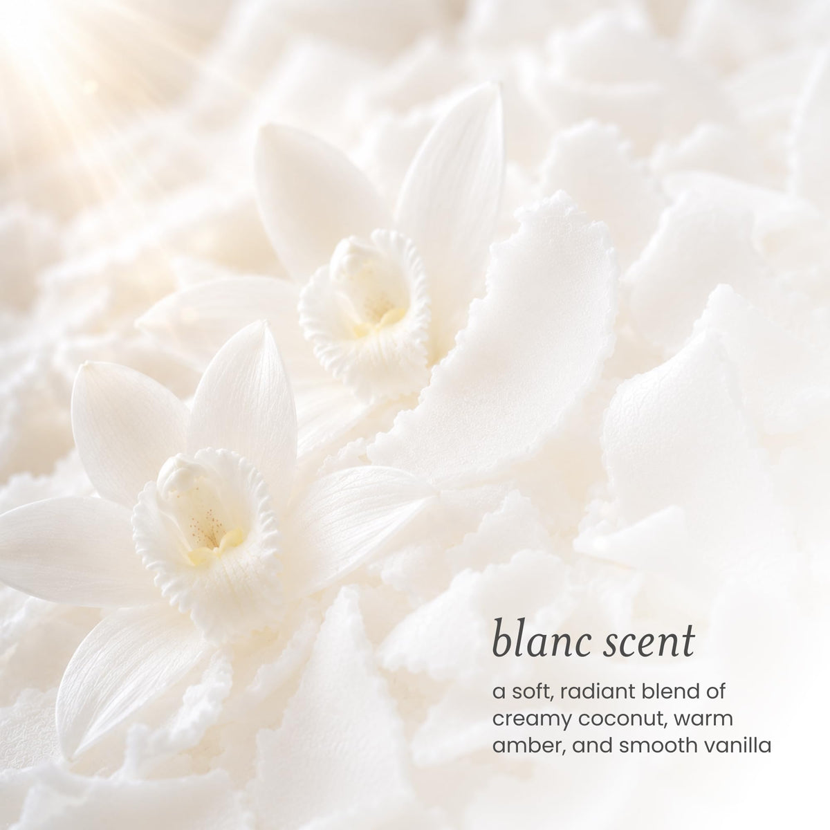 Lavender Drybar Detox Clear Invisible Dry Shampoo Spray, Blanc Scent, 3.8 oz