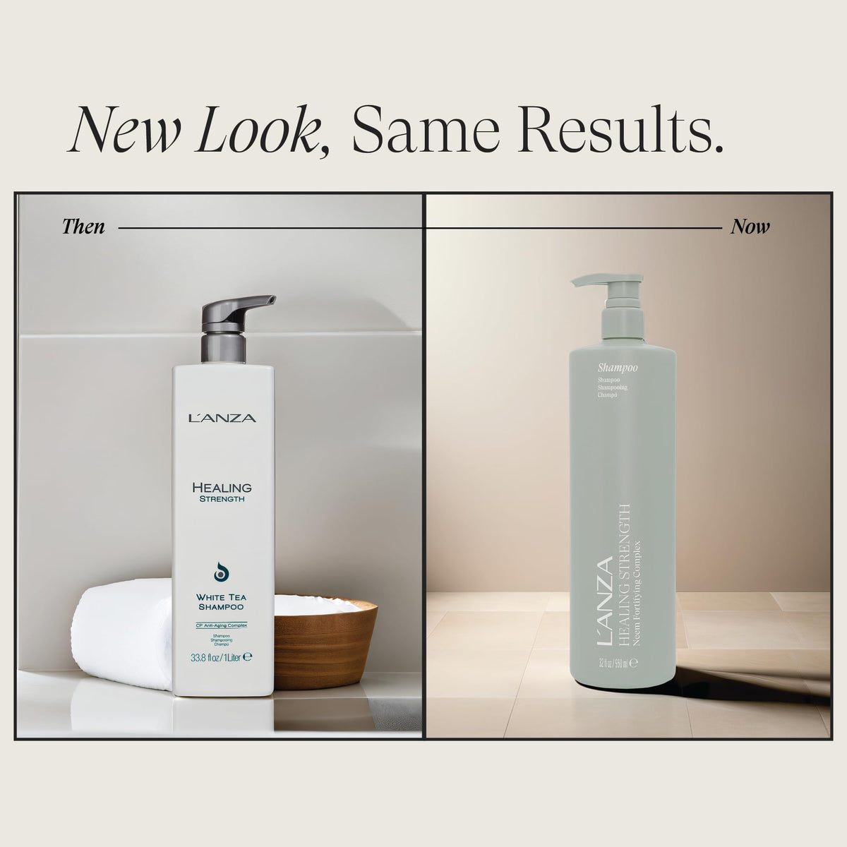 Gray L'ANZA Healing Strength Shampoo For Dry, Damaged Hair, Daily Shampoo that Strengthens, Repairs Damage, Moisturizing, Boosts Shine, Gentle Cleanse, Color Safe Anti-Humidity, Sulfate Free (33.8 Fl Oz)