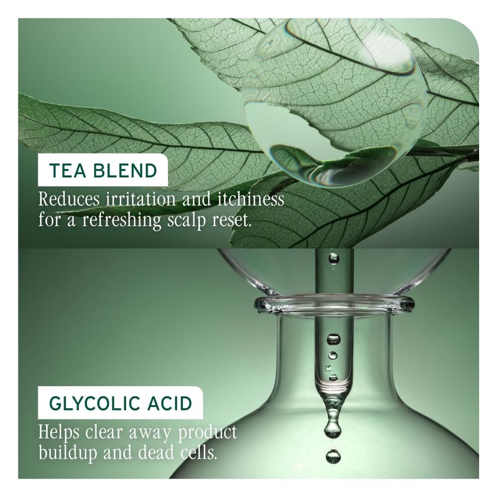 Dark Sea Green Biolage Scalp Sync Purifying Concentrate - Exfoliating & Clarifying Dry Scalp Treatment, Refreshing & Reinvigorating, Fermented Tea Blend & Glycolic Acid