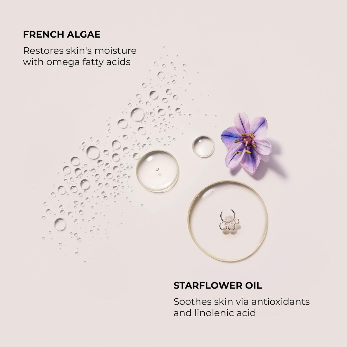 Light Gray Laura Mercier Delicious & Decadent Ambre Vanille Collection, Serum Body Cream with 48HR Hydration, Hydrating Body Wash to Soften and Smooth Skin, Honey Bath Gel, Foaming Bubble Bath, Holiday Gift Set
