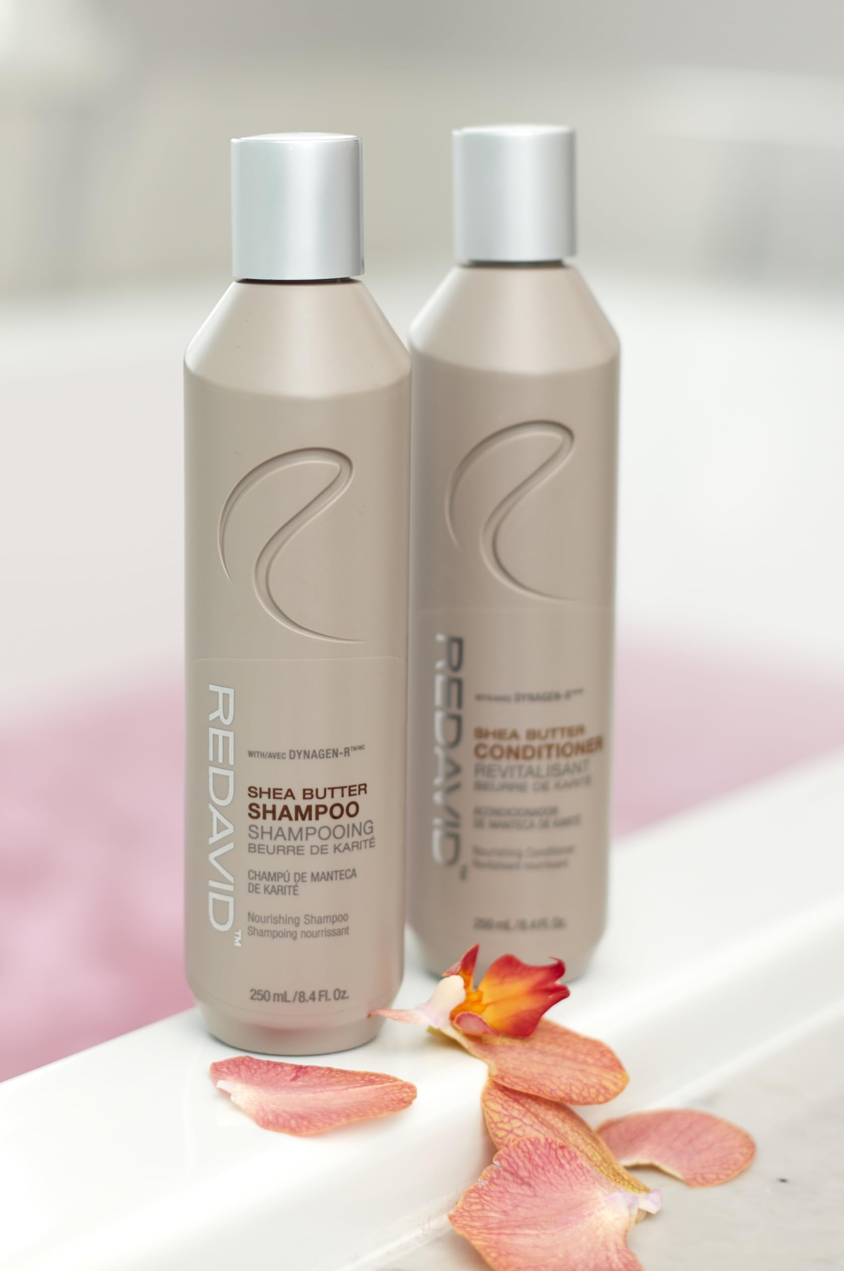 White Smoke Redavid Shea Butter Nourishing Conditioner for Normal to Dry, Damaged hair - with Shea Butter and Cymbidium Orchid Oil - Clinically Strengthens, Adds Moisture & Detangles - (250ml)