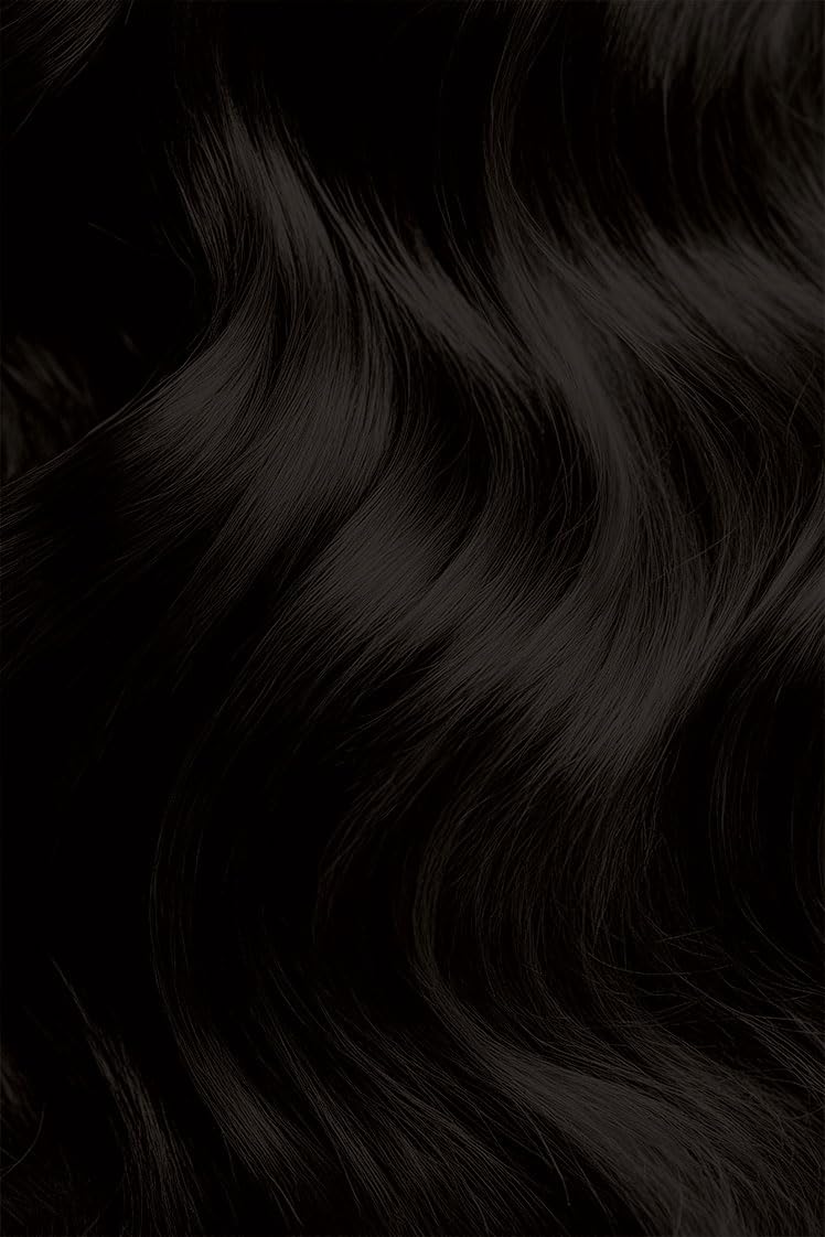Black #58 Black Brown Bigen Permanent Powder - 12 Pack