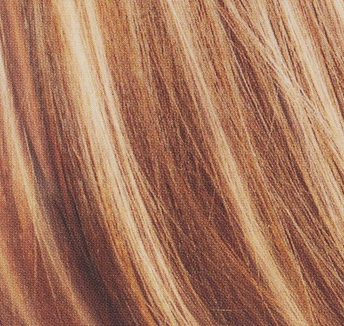 Sienna L'Oreal Paris Professional Techniques Frost and Design, Caramel, 1-Count