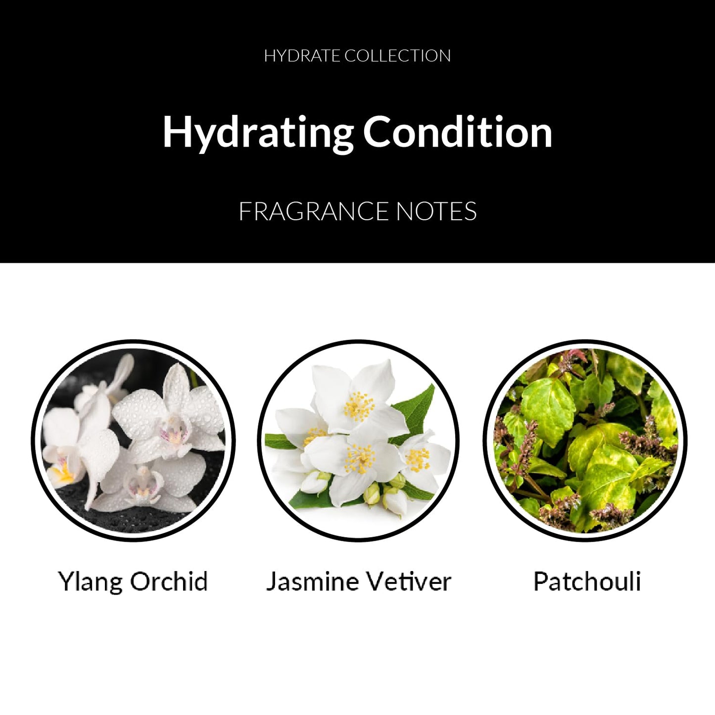 White Smoke Number 4 Hydrating Hair Conditioner, Moisturizing Deep Conditioner for Dry, Damaged Hair, 8.5 oz
