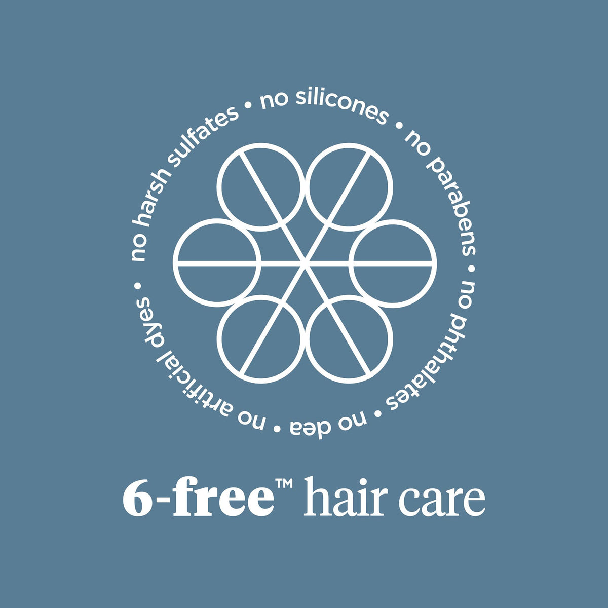 Slate Gray Briogeo Scalp Revival Charcoal + Tea Tree Scalp Treatment | Leave-In Serum