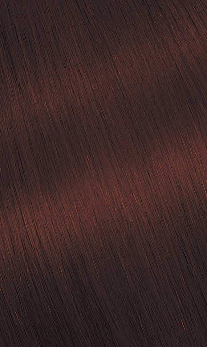 Dark Slate Gray #76 Copper Brown Bigen Permanent Powder - 3 Pack