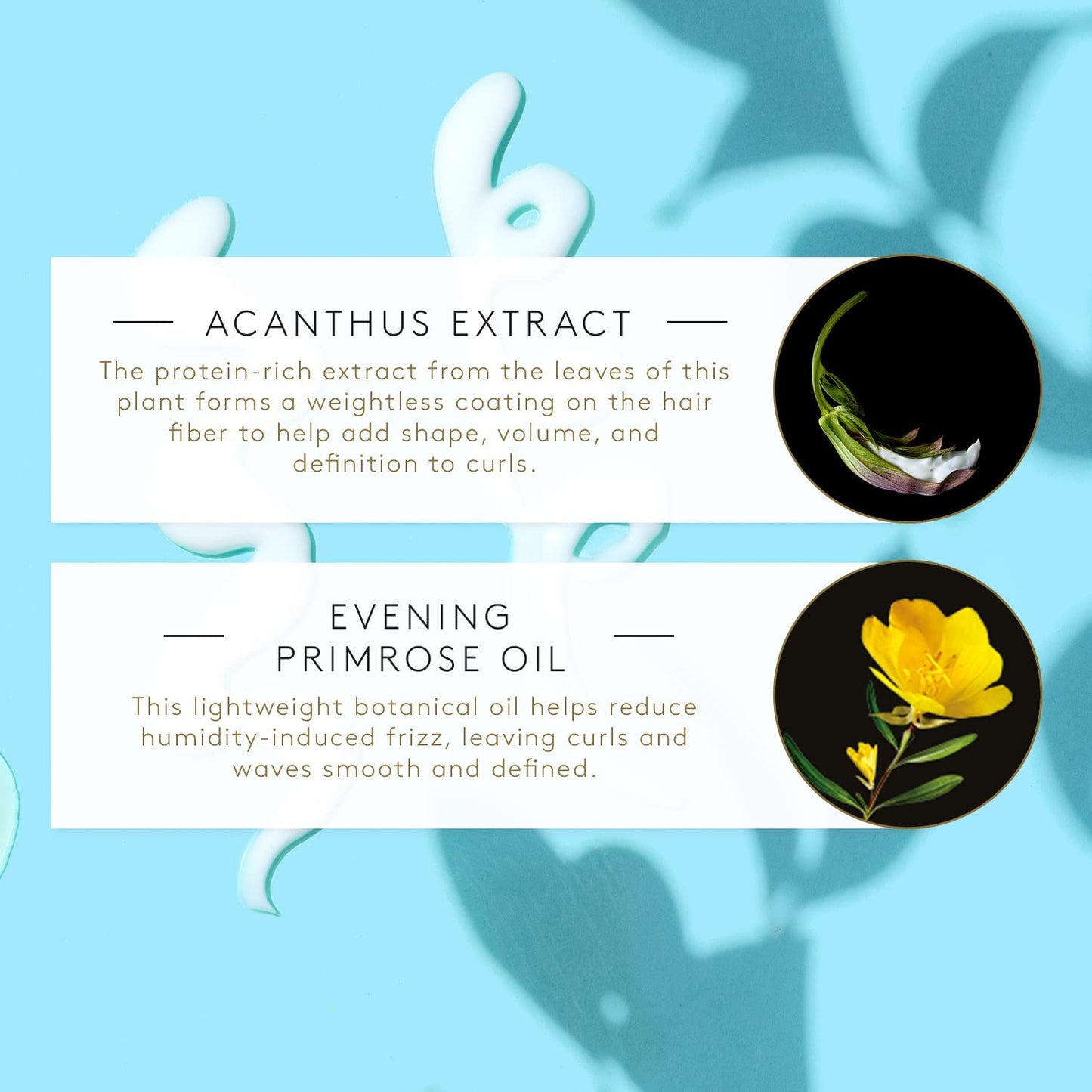 Pale Turquoise Rene Furterer SUBLIME CURL Curl Activating Conditioner - For Curly, Wavy Hair - Frizz Control - 5 Fl Oz