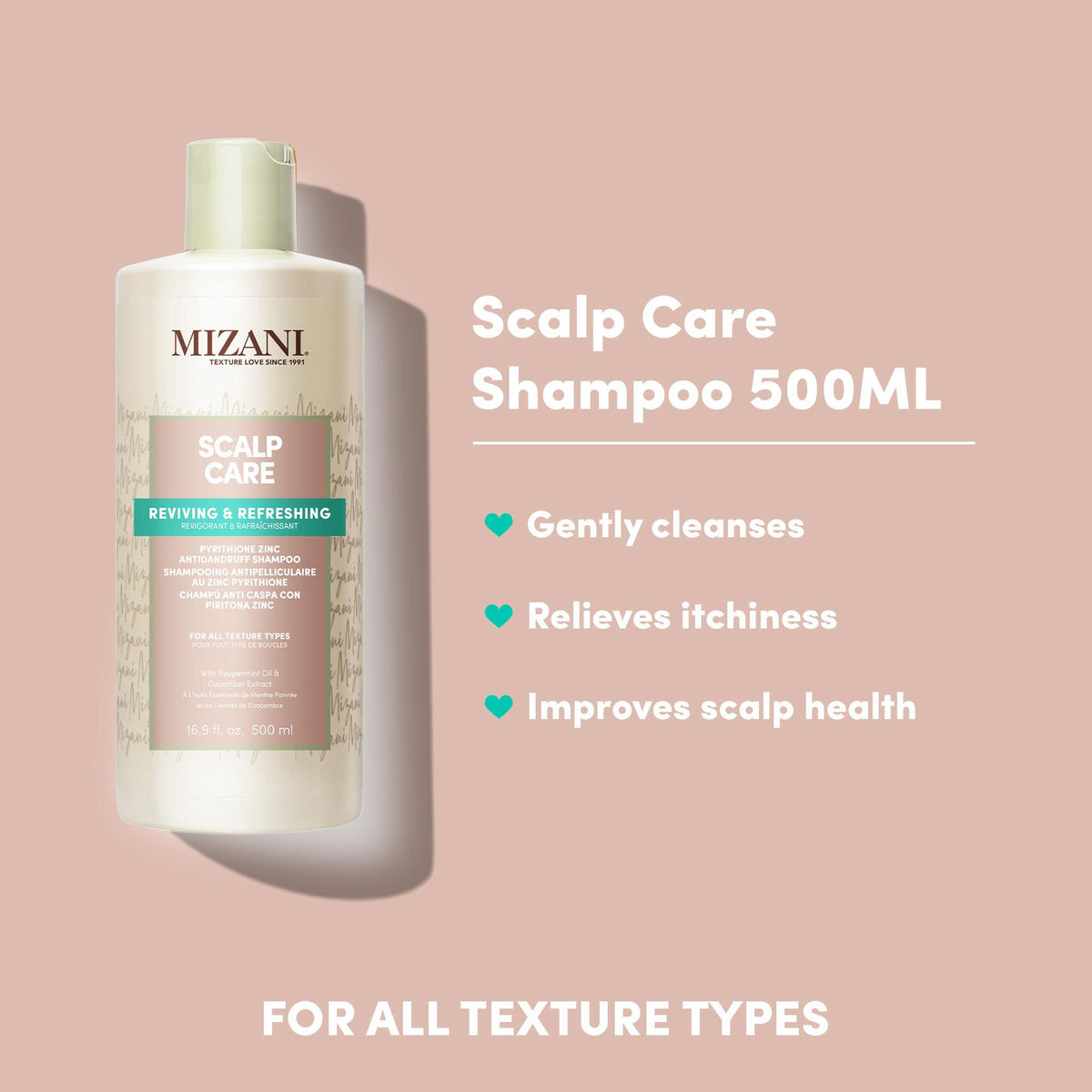 Gray MIZANI Scalp Care Dandruff Shampoo - Cleanses Hair & Scalp, For Curly Hair