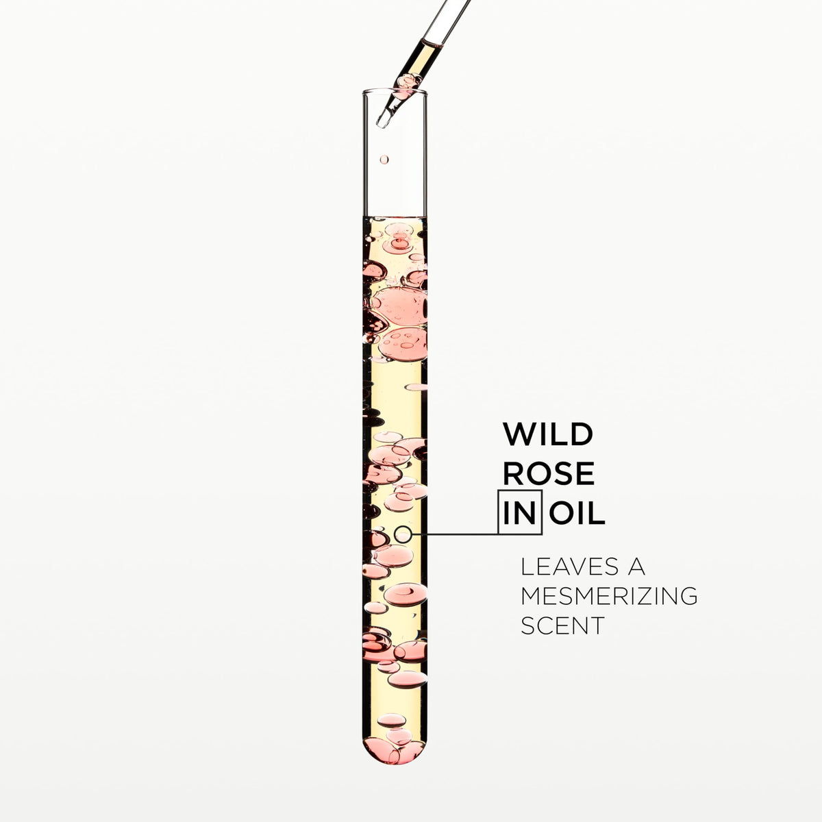 White Smoke Kerastase Gloss Absolu Glaze Drops Hair Oil – Anti-Frizz & High Shine