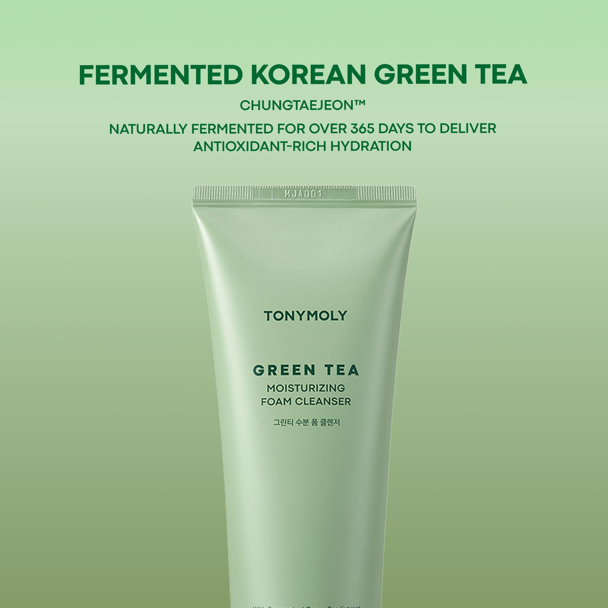 Gray TONYMOLY Chok Chok Green Tea Foaming Cleanser - Daily Antioxidant Face Wash