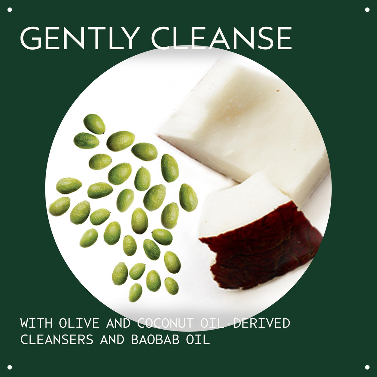 Dark Slate Gray AVEDA Botanical Kinetics All-Sensitive Cleaner | Gentle Facial Cleanser for Sensitive Skin | Fragrance Free | with Olive and Coconut Oil | 98% Naturally Derived*, 5.0 Fl Oz