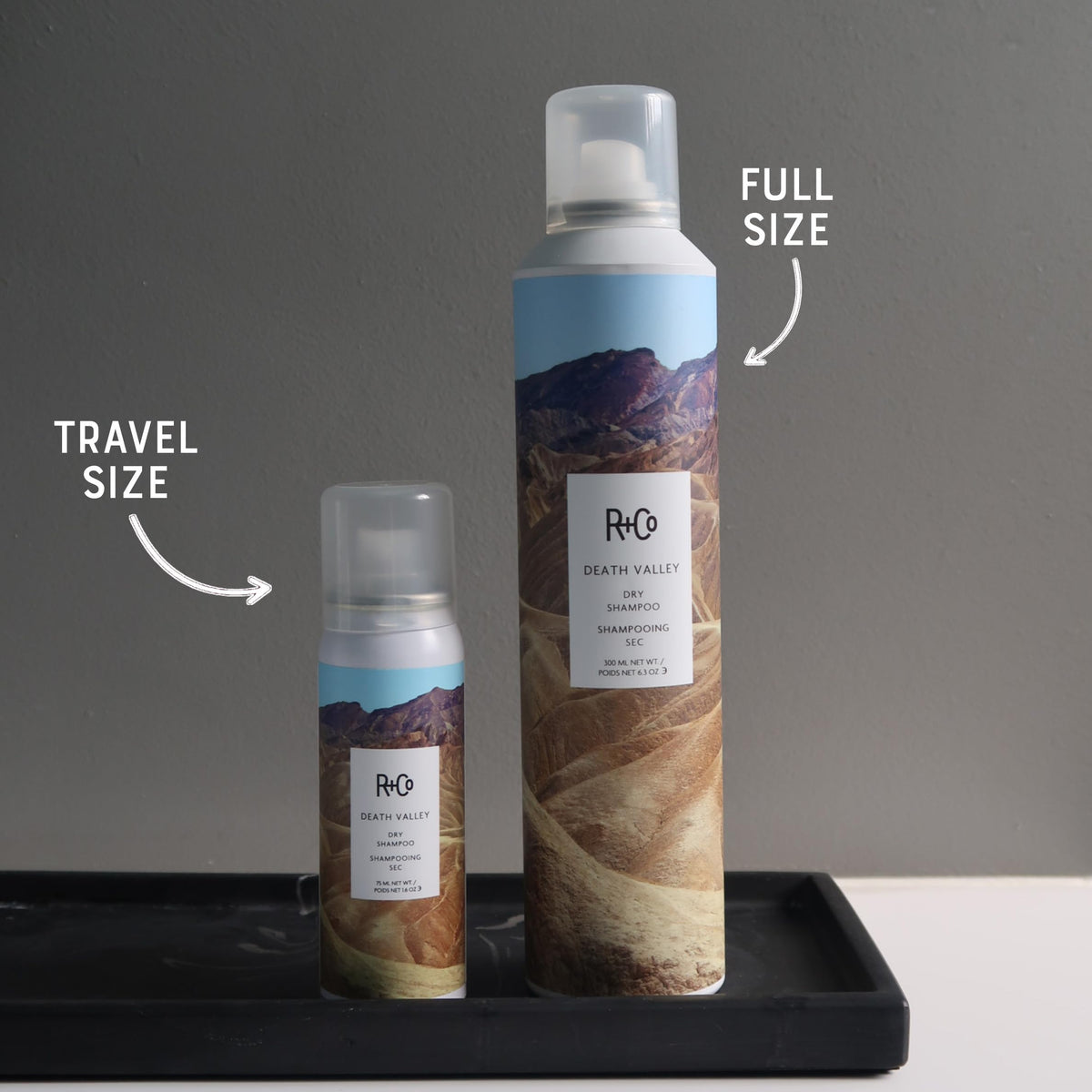 Dim Gray R+Co DEATH VALLEY Dry Shampoo