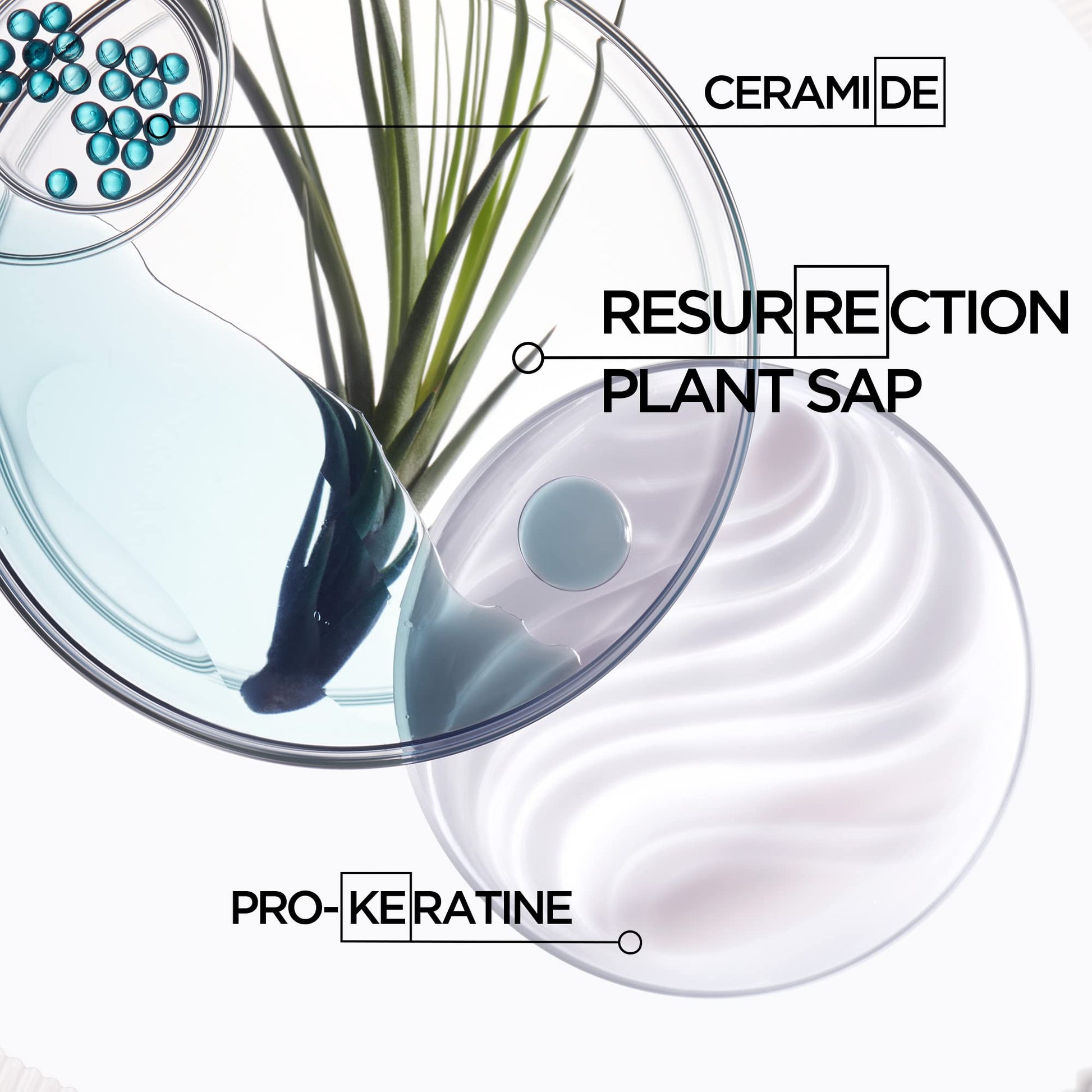 White Smoke KERASTASE Resistance Ciment Anti-Usure Treatment - Restorative Anti-Breakage Cream, Strengthens Weak, Brittle, Damaged Hair, Softens and Enhances Shine