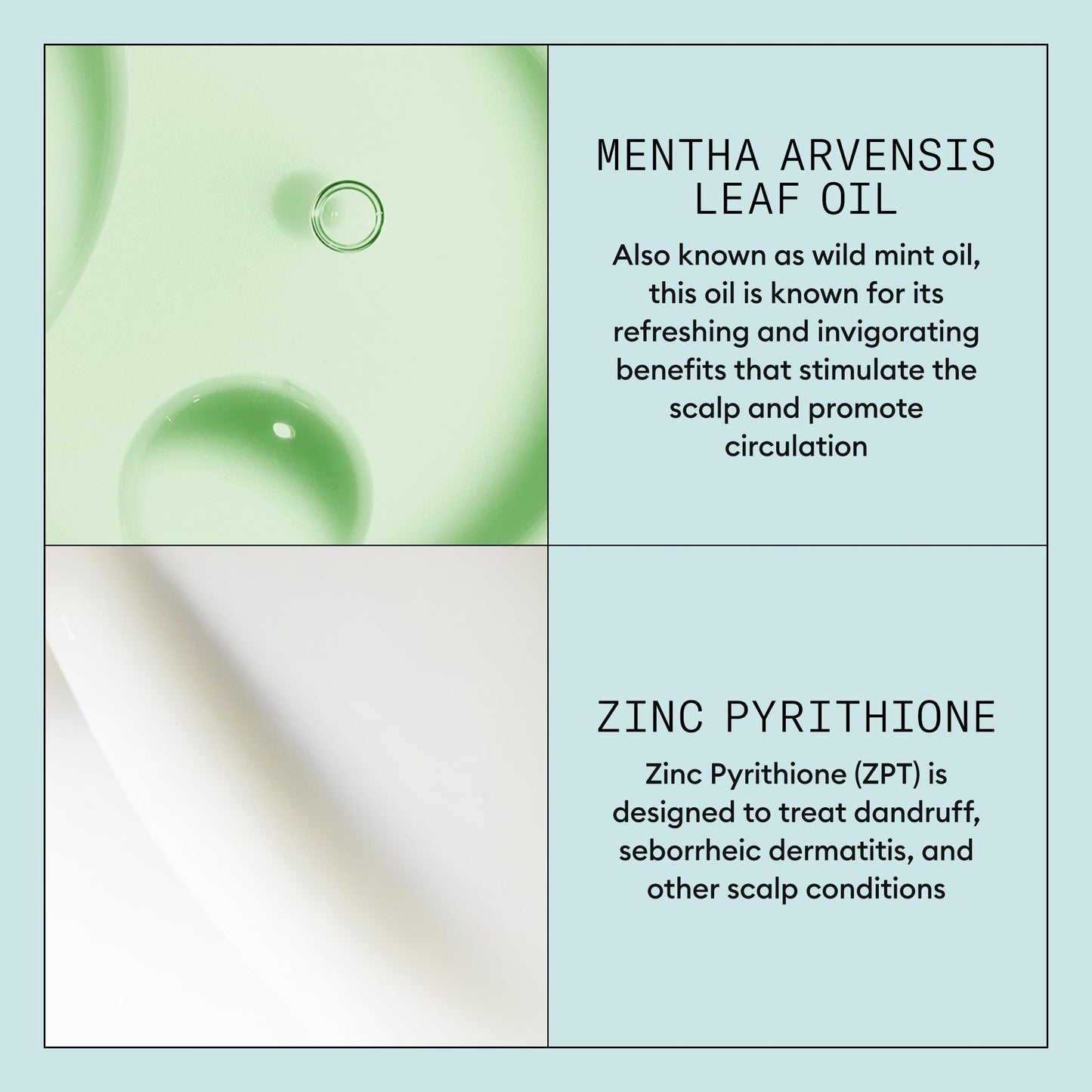 Powder Blue Nioxin Scalp Recovery Purifying Shampoo | For Dandruff and Itchy Scalp | With Pyrithione Zinc and Green Tea Extracts| 33.8 Fl oz.