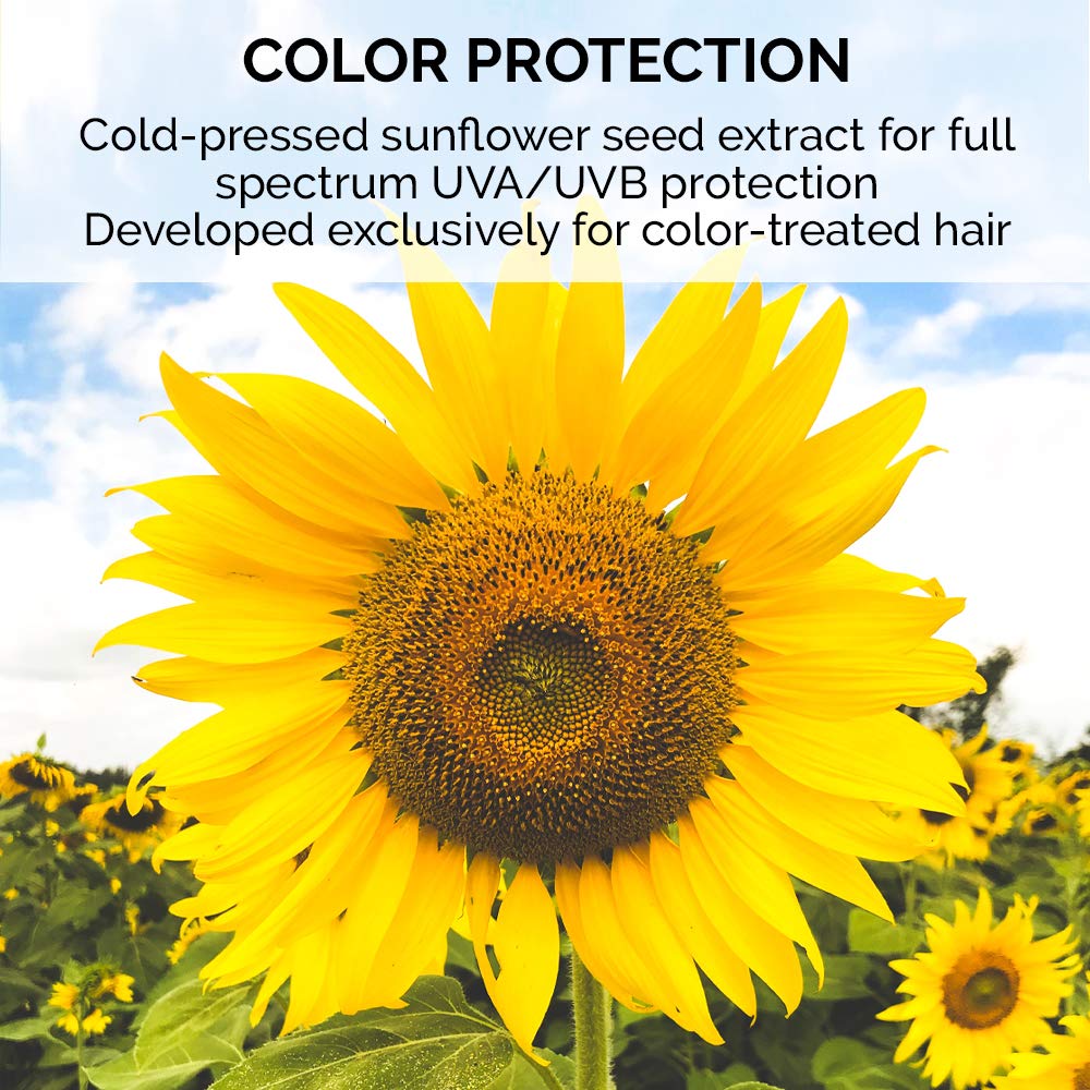 White Smoke ColorProof LiftIt Color Protect Mousse - Color-Safe, Vegan, Sulfate-Free, Salt Free, Root Lift, Volumizing, Unisex - Professional Hair Product