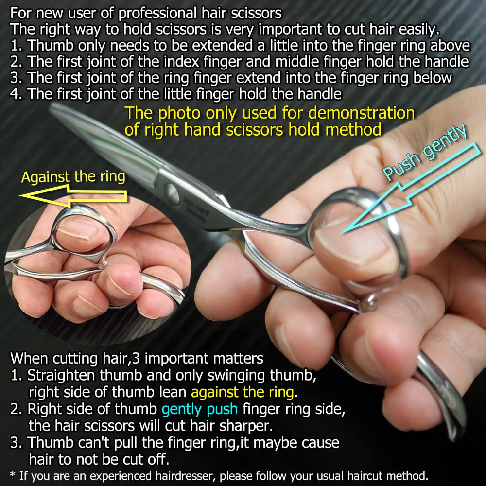 Black 6 Inch Professional Hair Scissors Professional 440C Stainless Steel Hair Cutting Scissors – Hand-Sharpened Japanese Blades, Ergonomic Handle, Ultra-Sharp Barber Shears for Thick Hair & Dog Grooming