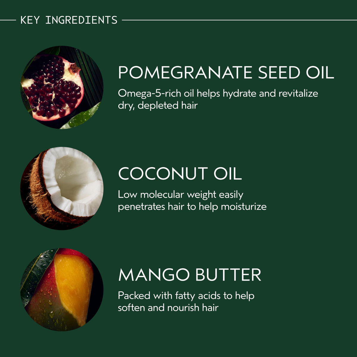 Dark Slate Gray AVEDA Nutriplenish Conditioner Light Moisture | Hydrating Conditioner for Fine to Medium Dry Hair | Organic Pomegranate Oil, Coconut Oil, Mango Butter | 96% Naturally Derived*, 33.8 Fl Oz