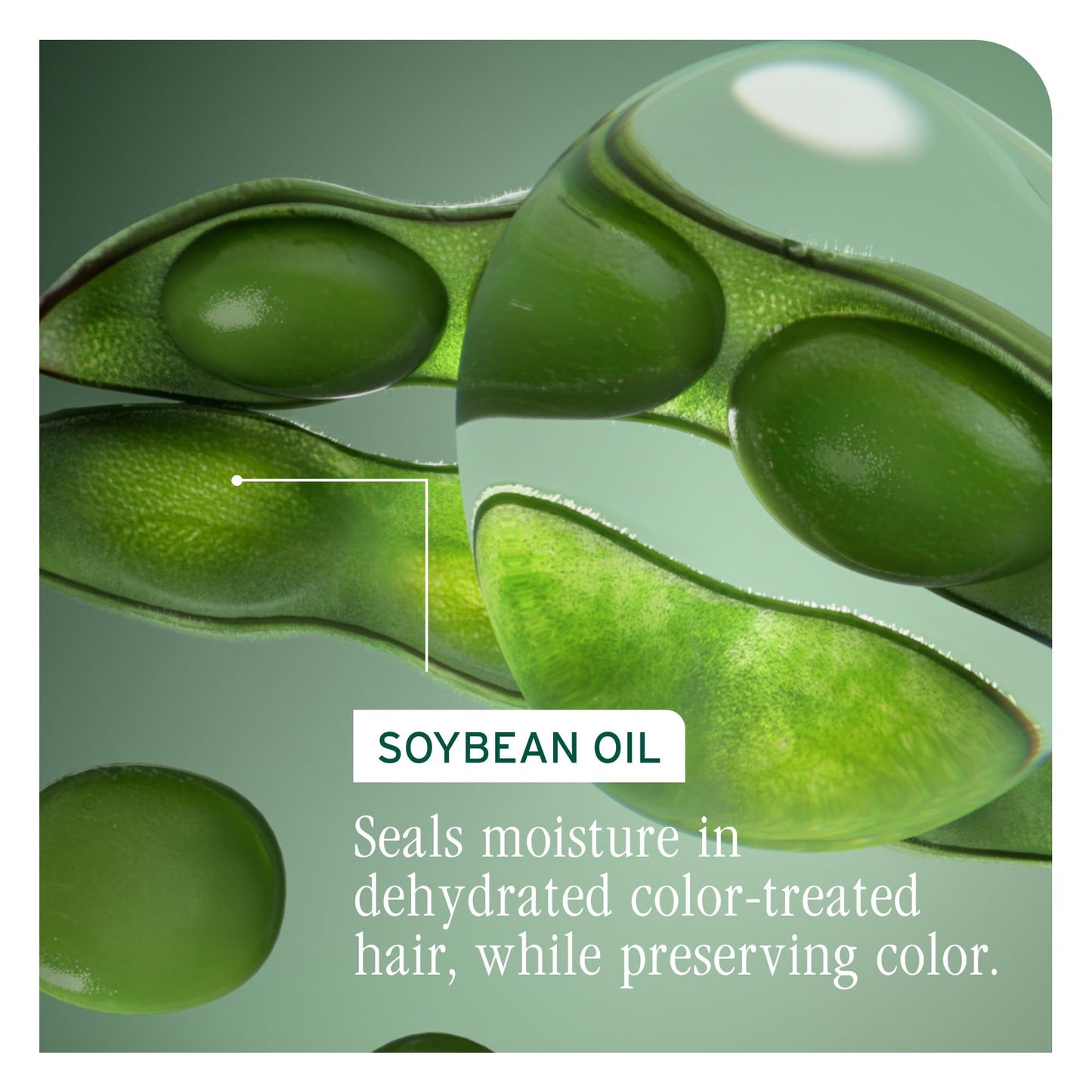 Dark Sea Green Biolage Color Last Shampoo - For Color-Treated Hair, Nourishes, Strengthens, Hydrates and Adds Shine, Soybean Oil & Stearic Acid, Paraben & Mineral Oil-Free, Vegan, 33.8 Fl Oz
