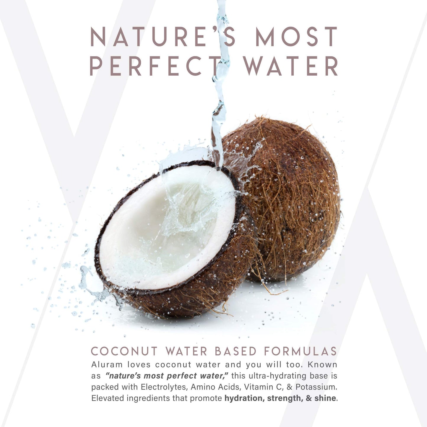 White Smoke ALURAM Coconut Water Based Daily Hair Shampoo & Conditioner Set, 12 Fl Oz