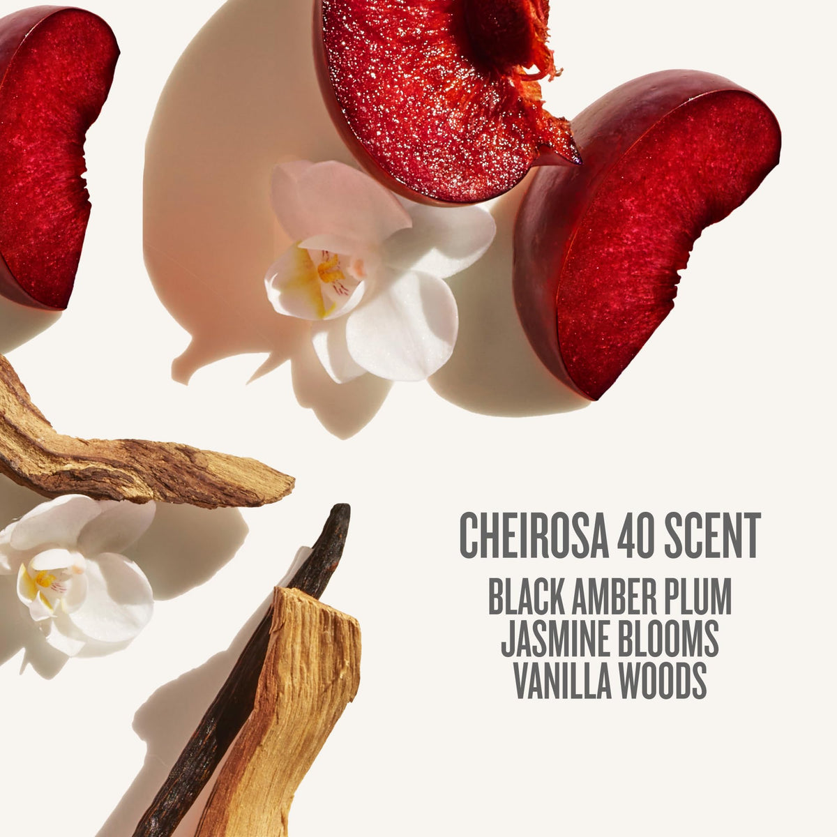Seashell Sol de Janeiro Visibly Brightening & Smoothing Bom Dia AHA Body Cream 240ml