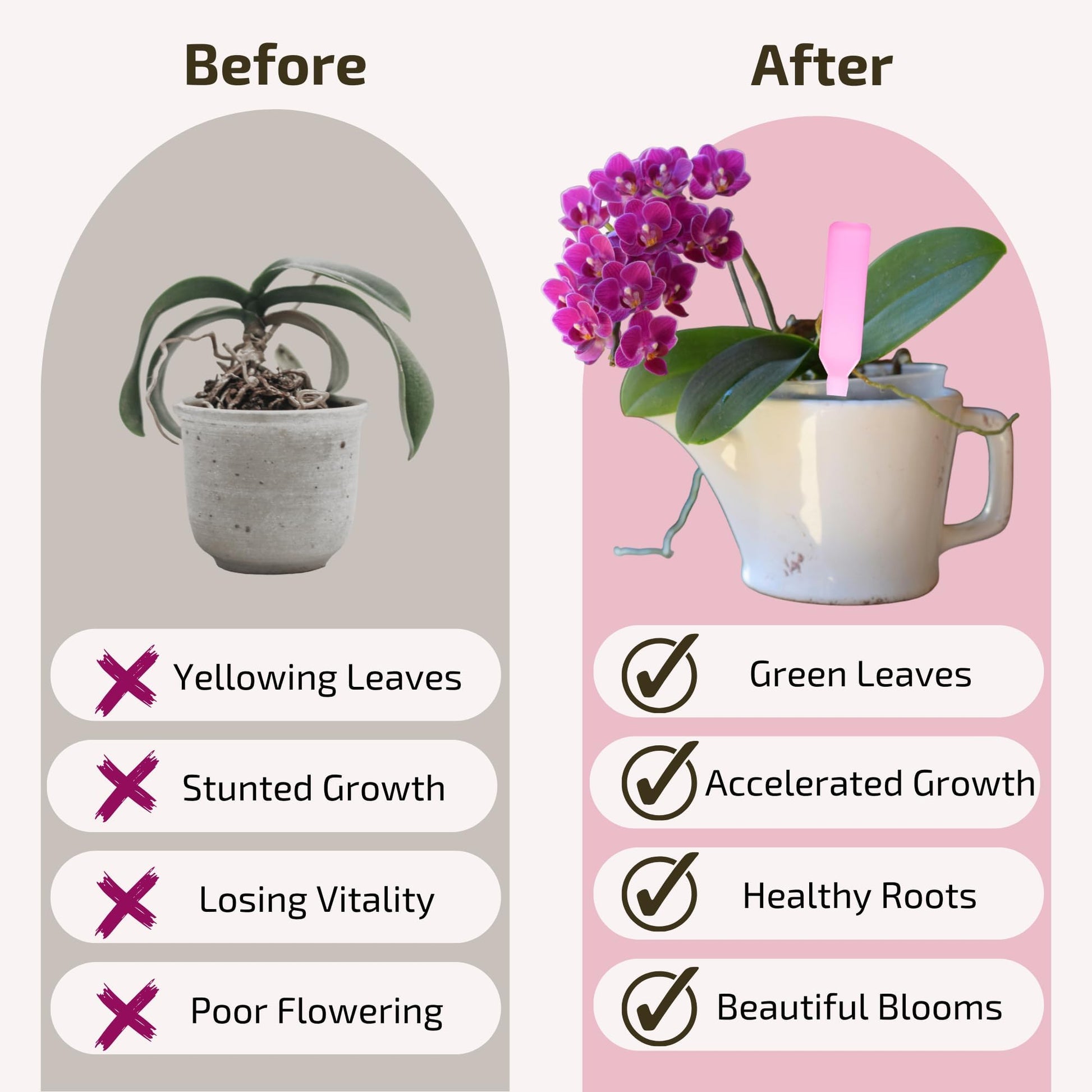 White Smoke The Green Alcove Liquid Orchid Fertilizer Spikes | Ready-to-Use Orchid Food Spikes & Orchid Plant Food for Blooming, Fertilizer for Orchids (16 Drip Feeders)