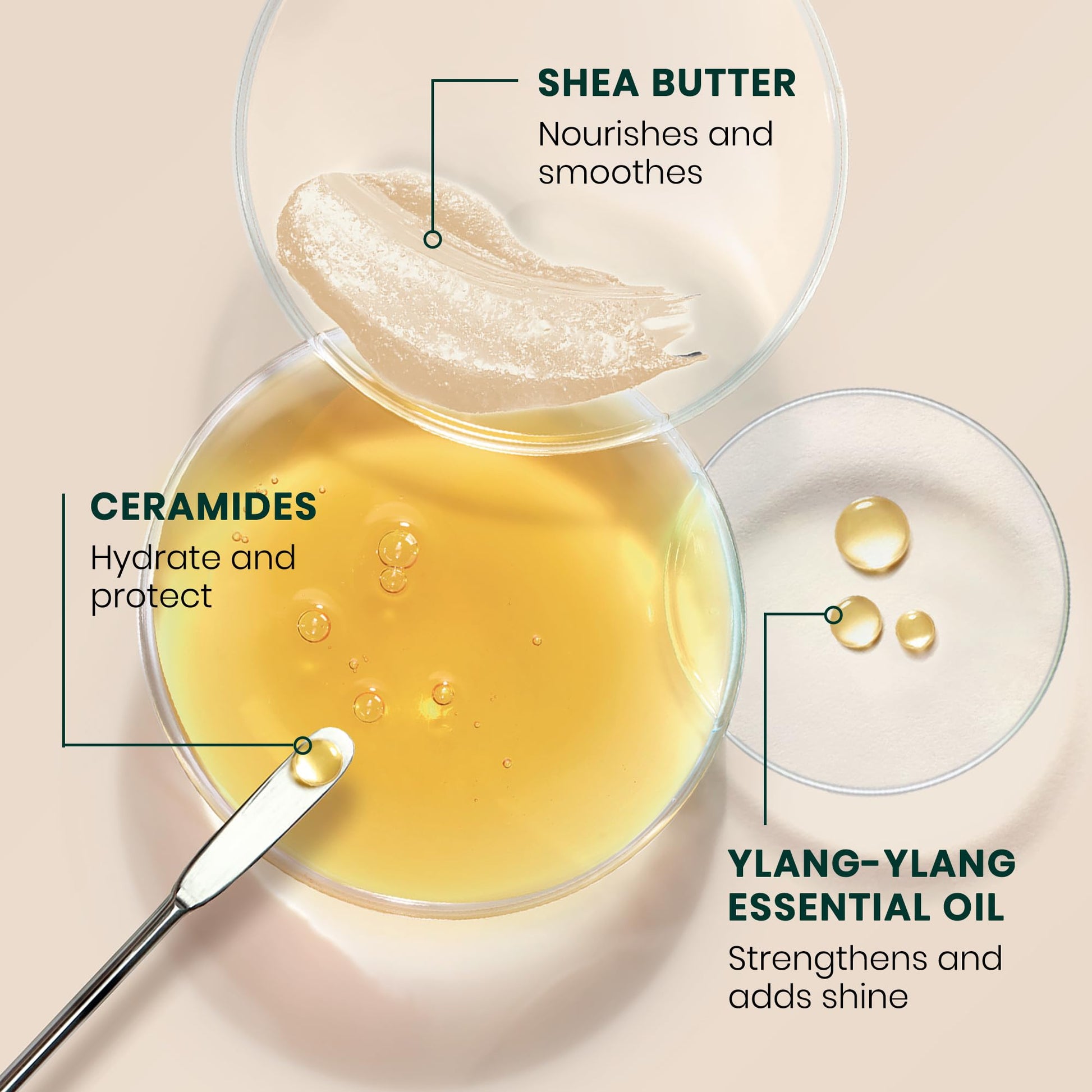 Light Gray René Furterer Sublime Karité Professional Smoothing Milk - Shea butter, Ylang-Ylang Essential Oil & Ceramides 3.3 fl oz.