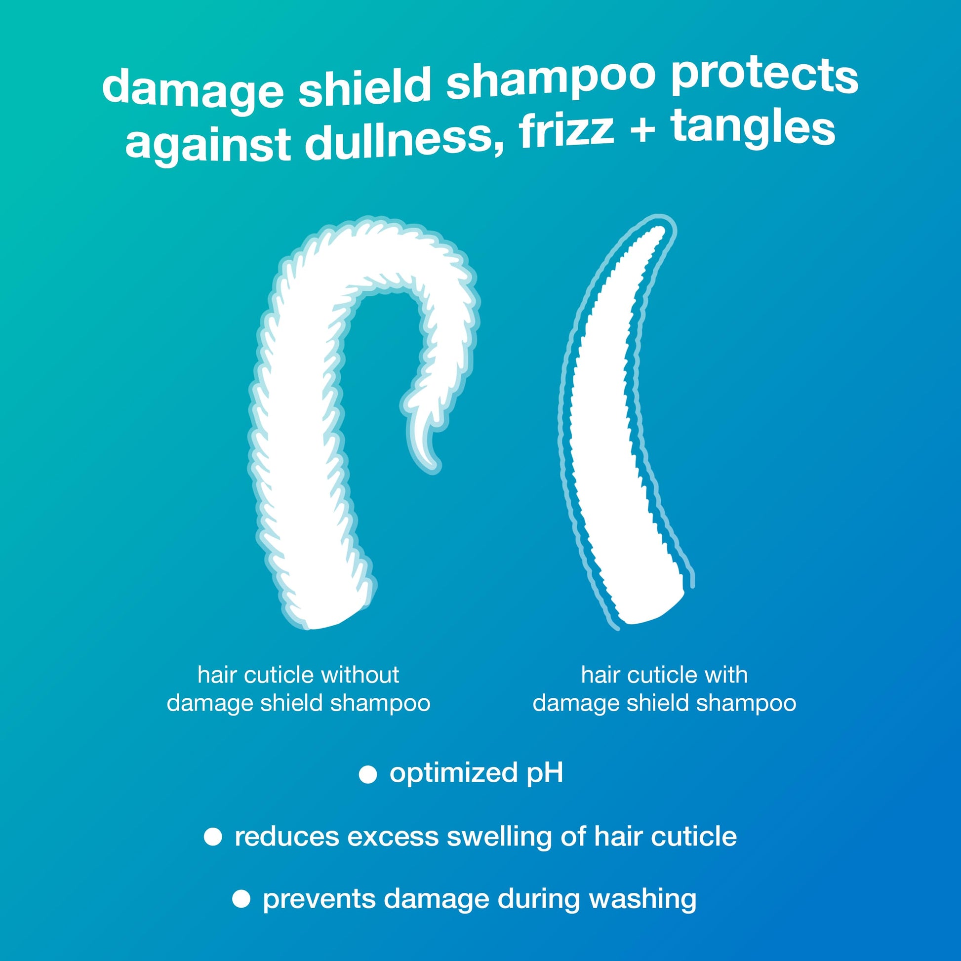 Light Sea Green K18 Amazon Exclusive Damage Shield Wash Care Set | Full-Size Color-Safe Protective Shampoo + Conditioner Reduces Frizz And Tangles, Maintains Hair Health, Protects From Damage