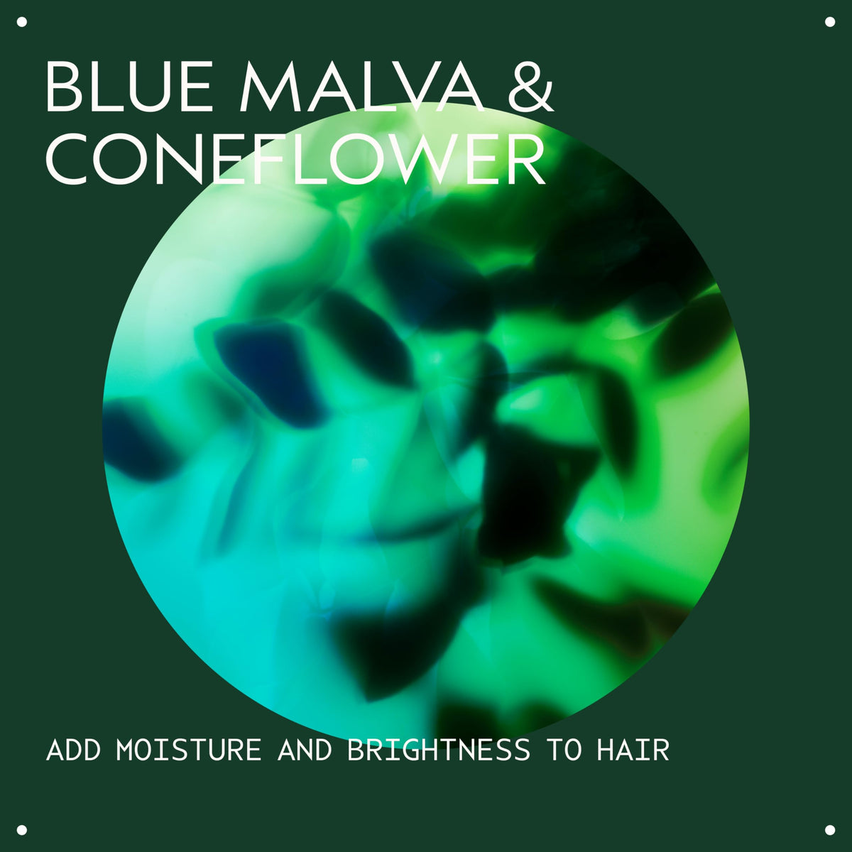 Dark Slate Gray AVEDA Blue Malva Shampoo | Purple Shampoo for Gray and Blonde Hair | Neutralizes Brassiness and Yellow Tones |With Blue Malva and Coneflower | 95% Naturally Derived* | Liter Size | 33.8 Fl Oz