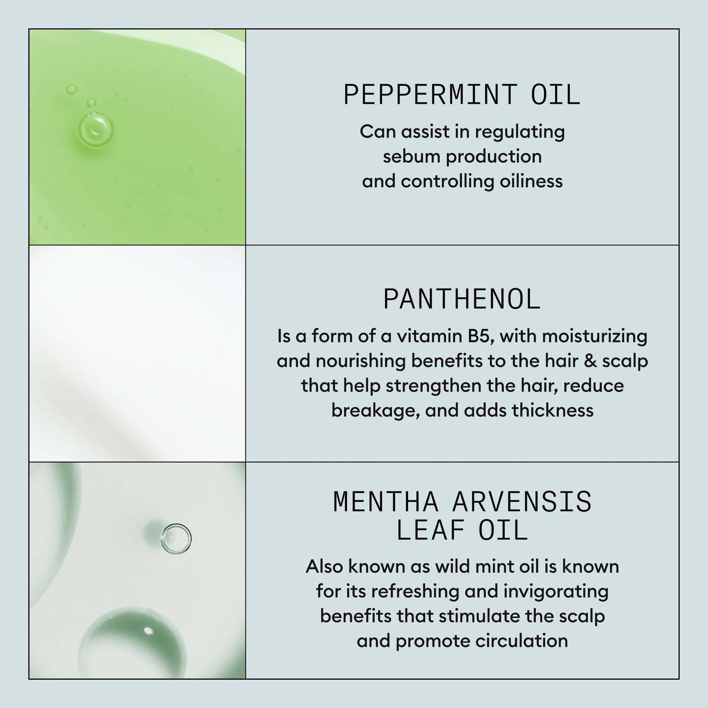 Lavender Nioxin Density Defend Styling Root Lifting Spray | Hair Thickening Spray | Texturizes and Volumizes | 5.1 Fl oz.