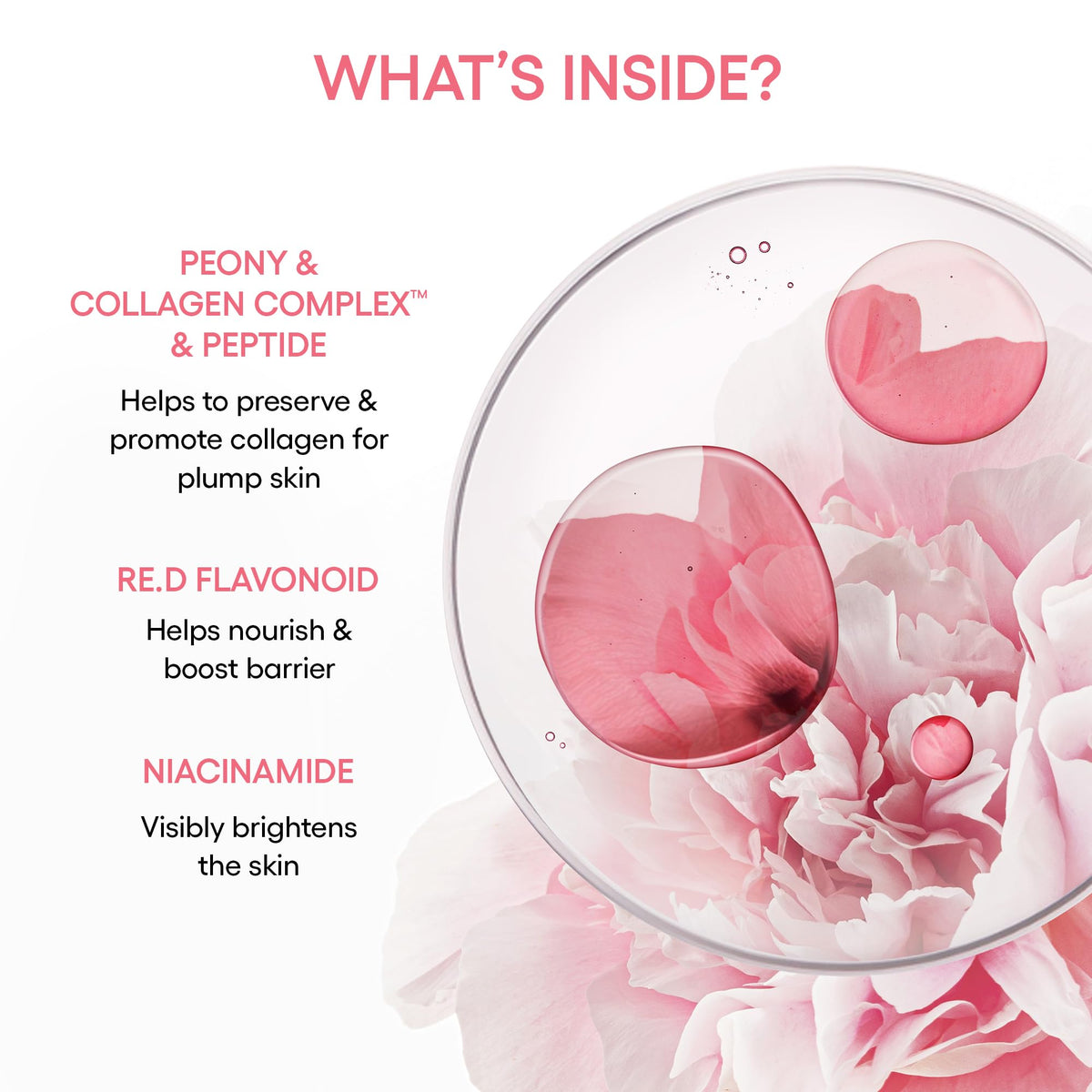 White Smoke LANEIGE Bouncy & Firm Slow Anti-Aging Collagen Complex Serum