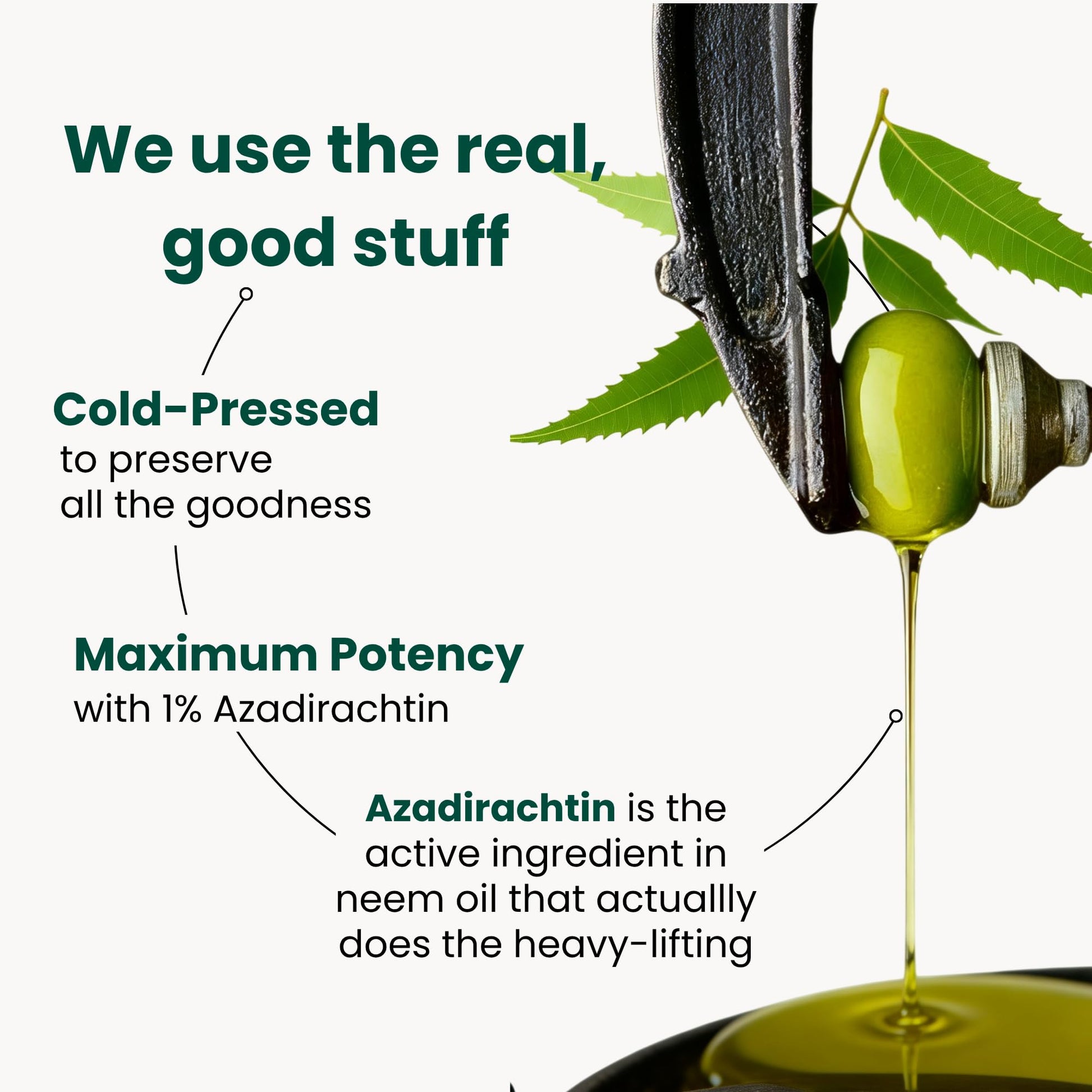 White Smoke Neem Oil for Plants (Makes 30 Bottles) with Spray Bottle & Essential Oils for Indoor Houseplants & Outdoor Gardens, Natural Leaf Shine
