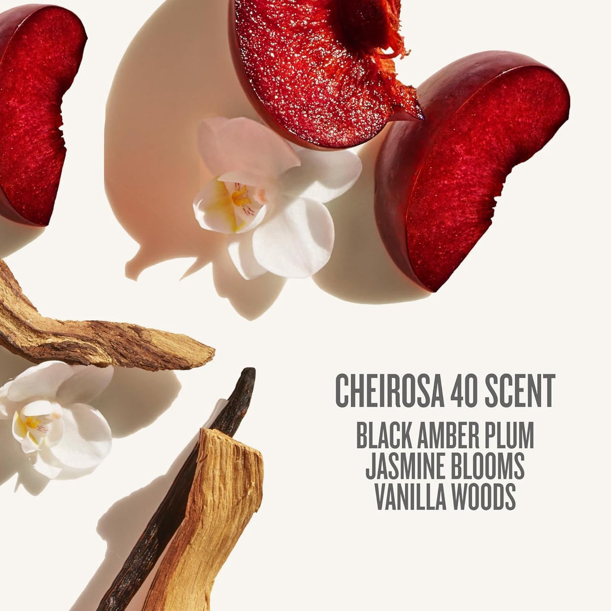 Seashell Sol de Janeiro Bom Dia Bright Body Cream & Cheirosa 40 Perfume Mist Duo