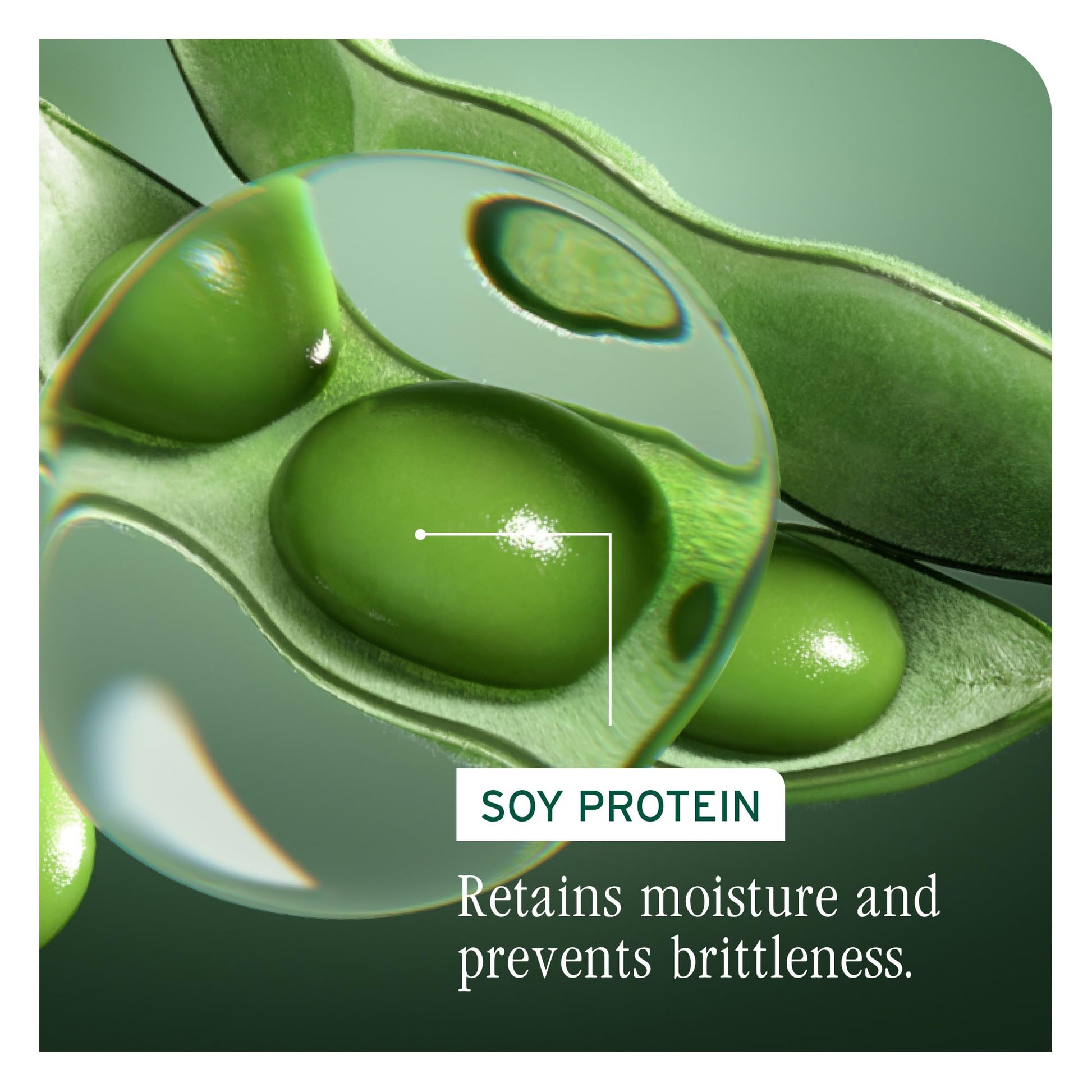 Black Biolage Volume Boost Volumizing Spray - Adds Bounce, Movement & Fullness, Root Lift Spray for Fine Hair, Soy Protein & Polymers, Paraben-Free & Vegan, 8.4 Fl Oz