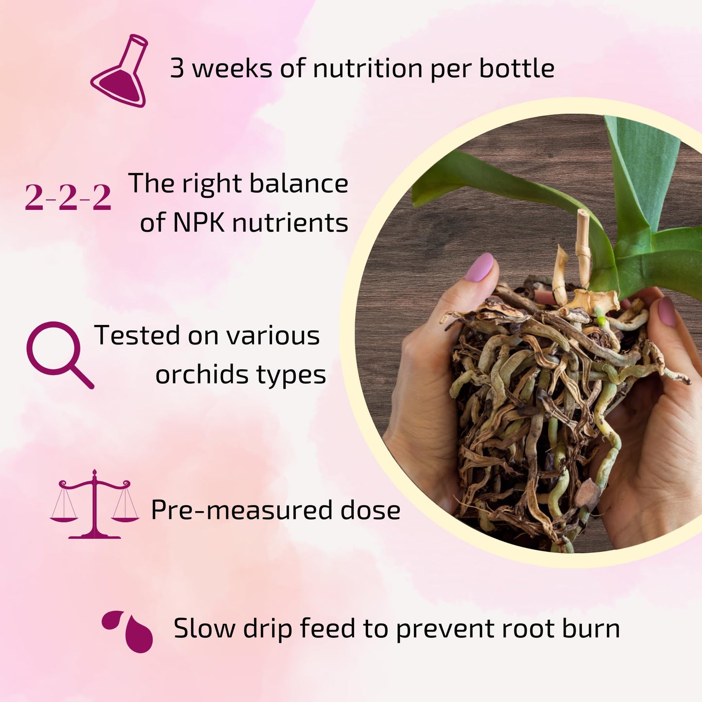 Misty Rose The Green Alcove Liquid Orchid Fertilizer Spikes | Ready-to-Use Orchid Food for Blooming, Fertilizer for Orchids (8 Drip Feeders)