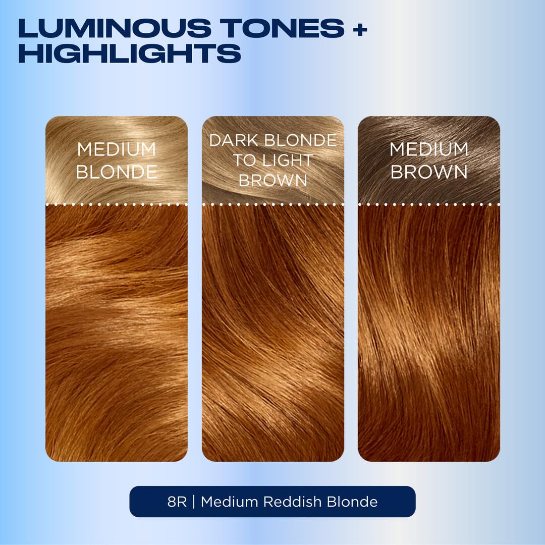 Lavender Clairol Nice'n Easy Permanent Hair Dye, 8R Medium Reddish Blonde Hair Color, Pack of 3