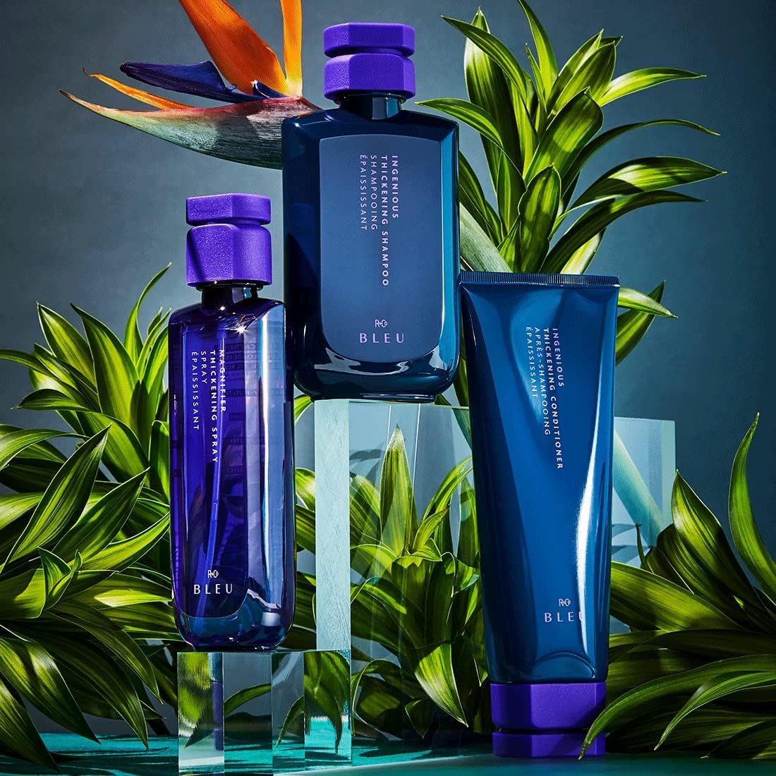 Black R+Co BLEU De Luxe Reparative Shampoo and Conditioner Set, 8.5 oz, Pack of 2
