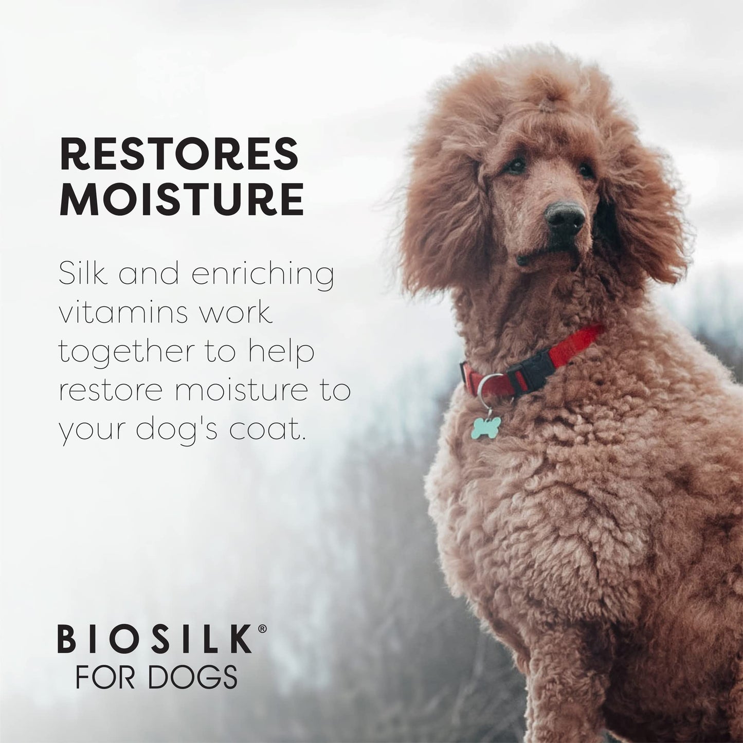 White Smoke BioSilk for Dogs Silk Therapy Shampoo With Natural Coconut Oil | Sulfate and Paraben Free Natural Dog Shampoo, 12 Fl Oz - 6 Pack | Made in the USA