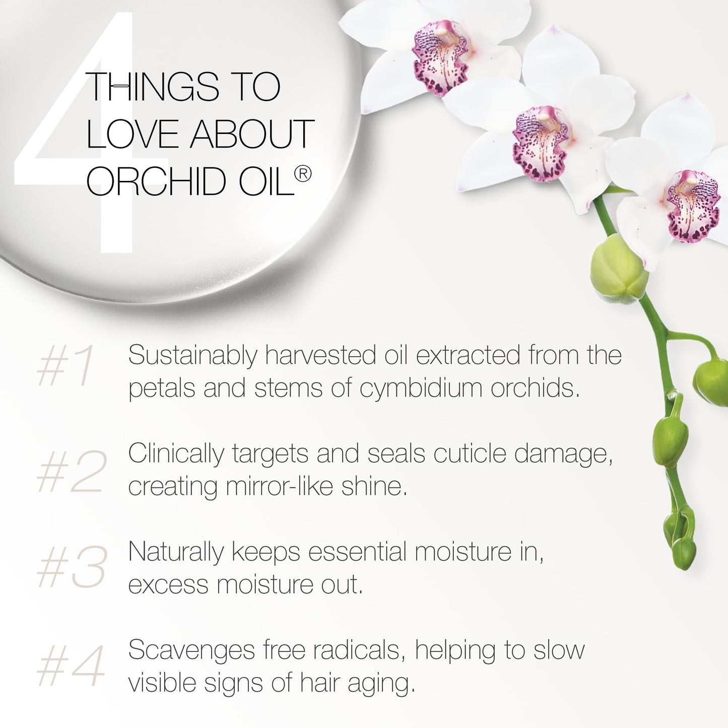 White Smoke REDAVID Orchid Oil Ultra Nourishing Treatment - Luxury Hair Oil made from Cymbidium Orchids for Damaged, Curly Hair - Clinically Strengthens, Adds Protein & Hydrates Hair (1 Fl Oz Travel Size)