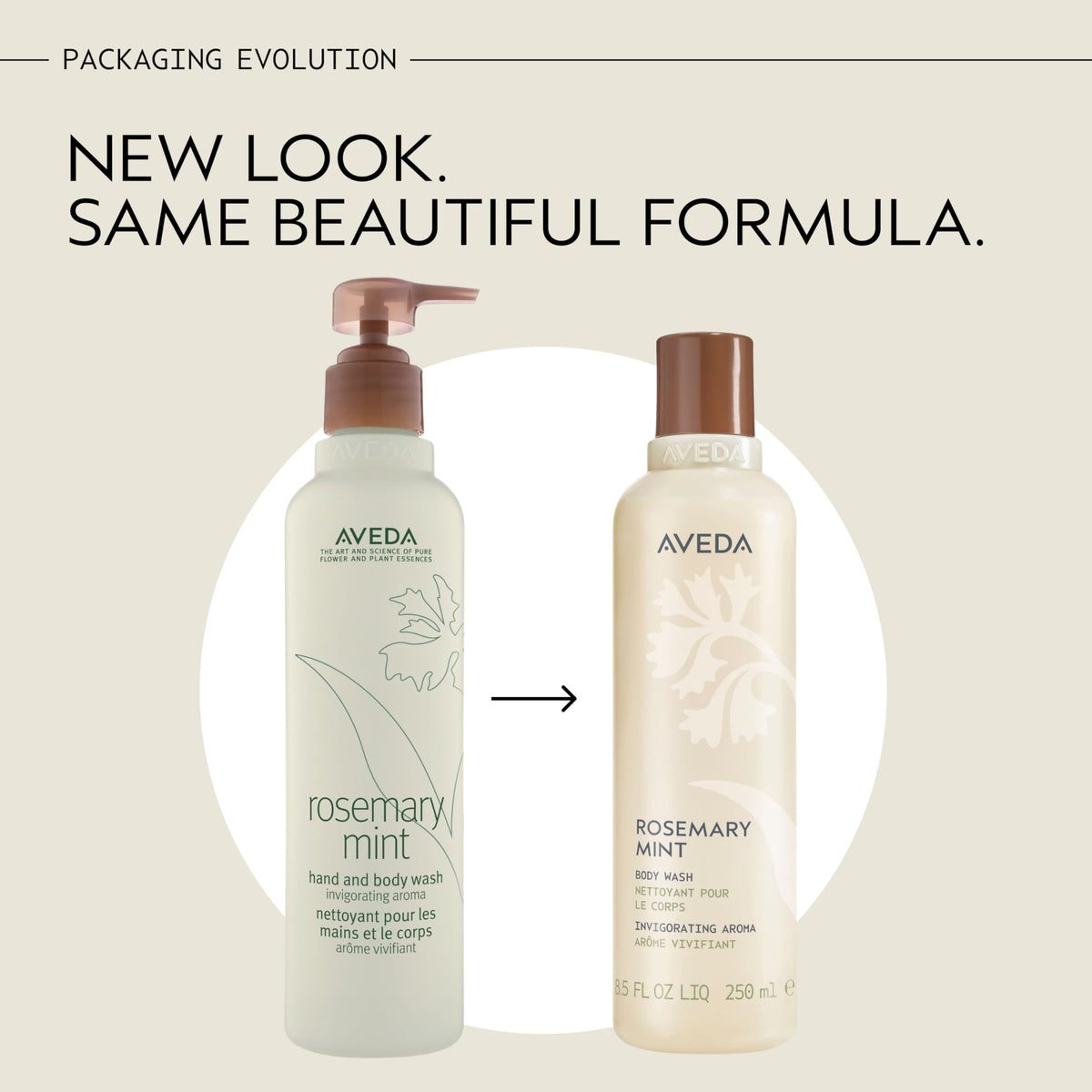 Antique White AVEDA Rosemary Mint Hand & Body Wash | Liquid Hand Soap and Body Wash | with Invigorating Aroma of Certified Organic Peppermint & Rosemary, 8.5 Fl Oz