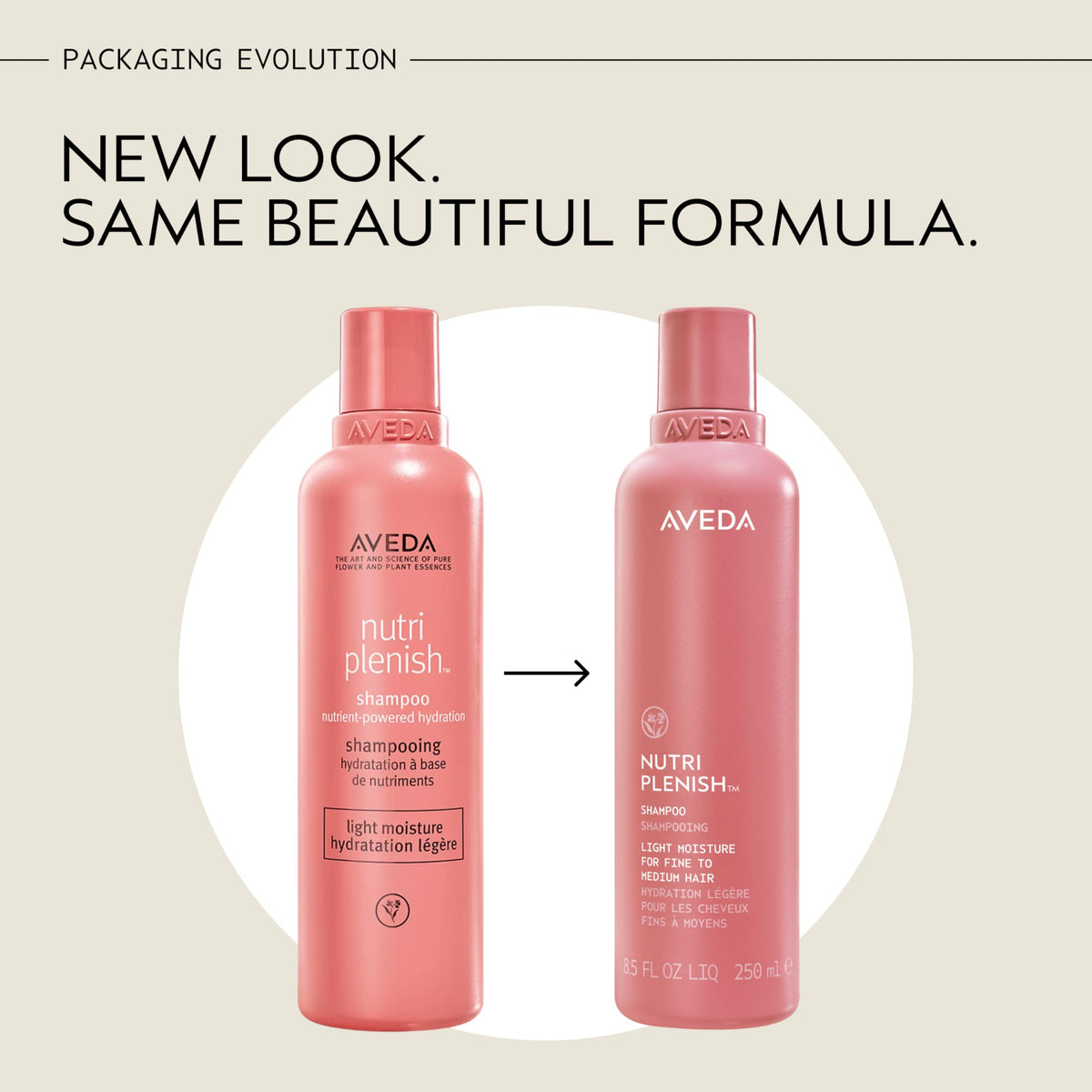 Antique White AVEDA Nutriplenish Shampoo Light Moisture | Hydrating Shampoo for Fine to Medium Dry Hair | Organic Pomegranate Oil, Coconut Oil, Mango Butter | 93% Naturally Derived*, 33.8 Fl Oz