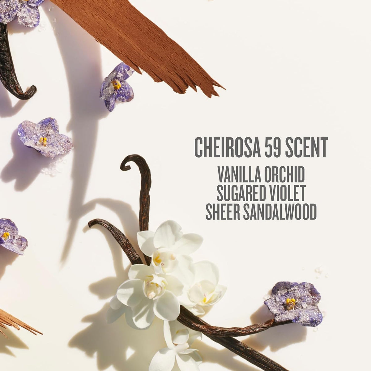 Seashell Sol de Janeiro Delicia Drench Body Butter & Cheirosa 59 Perfume Mist Duo
