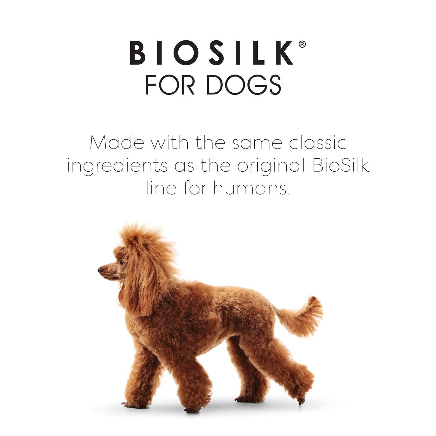 White Smoke BioSilk Silk Therapy Conditioning Detangling Spray for Dogs with Natural Coconut Oil, Leave-In Detangler and Conditioner, Dematting Grooming Spray, Sulfate Free, 7 Fl Oz