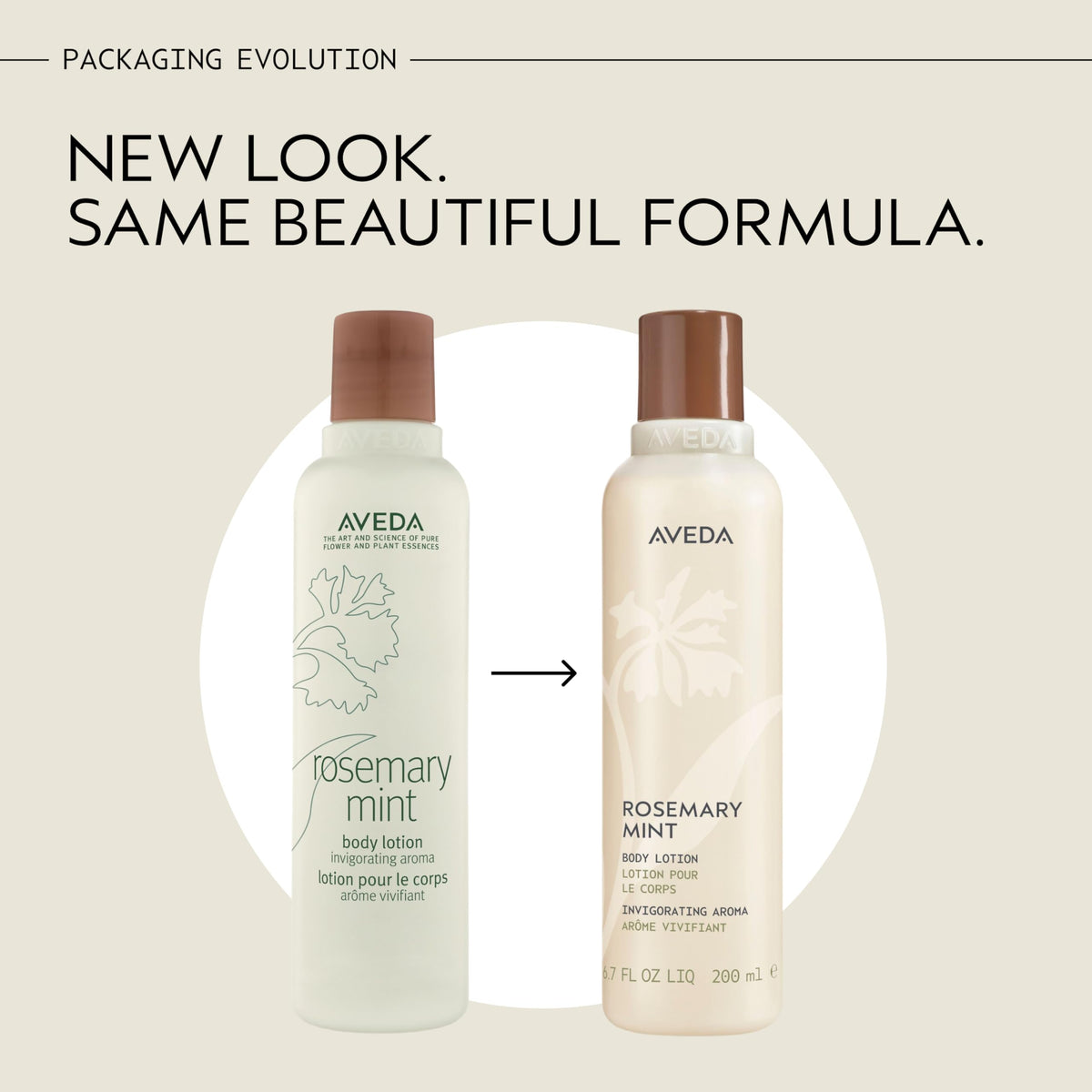 Antique White AVEDA Rosemary Mint Body Lotion | Lightweight Cooling Lotion with Menthol | with Invigorating Aroma of Certified Organic Peppermint & Rosemary, 6.7 Fl Oz