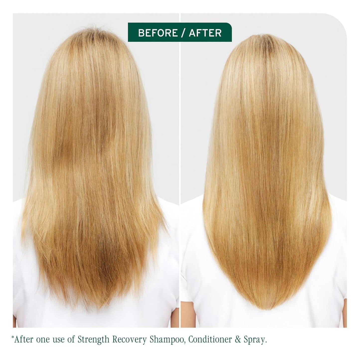 Lavender Biolage Winter Rescue Kit - Hydra Source and Strength Cure Mini Shampoo, Conditioner and Scalp Sync Concentrate, Hydrates and Repairs Damage, For Healthy Scalp And Strong Hair